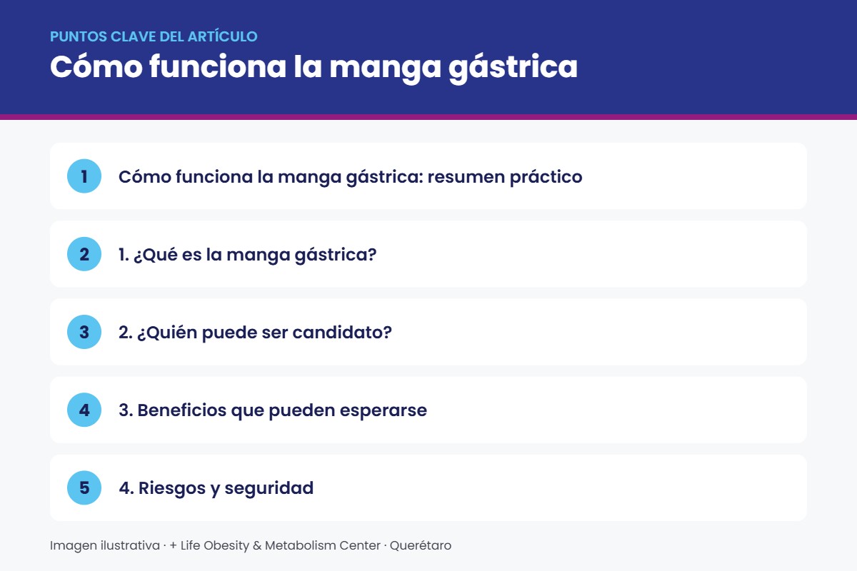 Infografía con los puntos clave sobre cómo funciona la manga gástrica